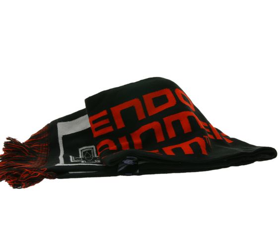 NINTENDO Fringe Scarf, Soft Scarf for Women and Men with Nintendo Print, Autumn Scarf KS165004NTN, Black