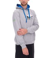 Sudadera con capucha de algodón de manga larga para hombre con estampados "WINDSURF WORLD CUP SYLT" (gris) 0100-010