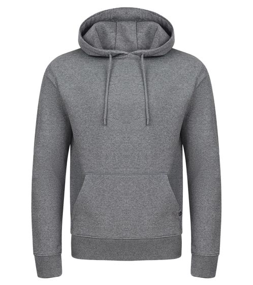 Men's Hoodie, Hooded Sweater, Basic Sweater, Modern Cotton Sweater, Plus Sizes Gray