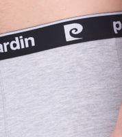 Caleçons homme Pierre Cardin en coton R808 6500 Gris, lot de 10