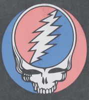 T-shirt da uomo RE:COVERED X Grateful Dead con grande logo della band, in cotone, a maniche corte, RCWBROS169 Grigio