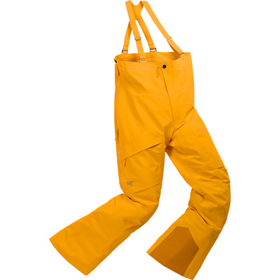Arcteryx Damen Hardshellhosen Regenhosen Rush Bib GTX Hose Regular Mehrfarbig