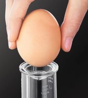 KRUPS Electric Egg Cooker for 7 Eggs, Kitchen Helper, Kitchen Utensil, 350 Watts, F2337010, White/Black KRUPS Electric Egg Cooker for 7 Eggs, Kitchen Helper, Kitchen Utensil, 350 Watts, F2337010, White/Black
