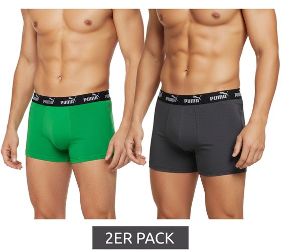 2er Pack PUMA Everyday Basic Boxer Herren Boxer-Shorts Baumwoll-Unterhose 701232894 004 Grau/Grün