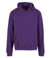 European League of Football Blank Men's Hoodie with Kangaroo Pocket, Cotton Pullover in Purple, Blue, Red, White, Gray, or Black European League of Football Blank Men's Hoodie with Kangaroo Pocket, Cotton Pullover in Purple, Blue, Red, White, Gray, or Black