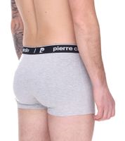 Lot de 20 boxers en coton Pierre Cardin pour homme, R808 6500 Gris Lot de 20 boxers en coton Pierre Cardin pour homme, R808 6500 Gris