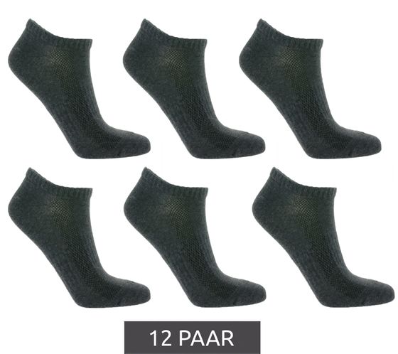 12 Pairs of TASTIQ Sneaker Socks, Plain Cotton Socks in a Gift Box, Gray Sports Socks
