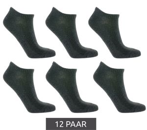 12 Paar TASTIQ Sneaker-Socken schlichte Baumwoll-Socken in Geschenkbox Sport-Socken Grau