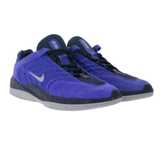 Baskets de skate NIKE SB Vertebrae d'inspiration rétro pour homme, color-block, FD4691-400 Bleu/Gris