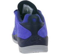 Baskets de skate NIKE SB Vertebrae d'inspiration rétro pour homme, color-block, FD4691-400 Bleu/Gris