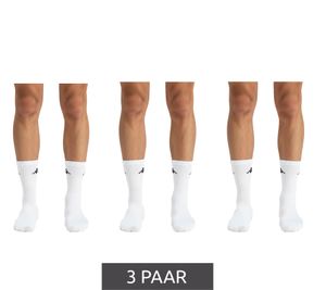 3 Pairs of Kappa Low-Cut Cotton Socks with Logo for Everyday Use, 304M5N0 923 White 3 Pairs of Kappa Low-Cut Cotton Socks with Logo for Everyday Use, 304M5N0 923 White
