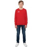 Suéter PENALTY Era Roundneck Co Jr para niños con bordado del logo, suéter de algodón para niños y niñas adolescentes, 354710-4000 Rojo Suéter PENALTY Era Roundneck Co Jr para niños con bordado del logo, suéter de algodón para niños y niñas adolescentes, 354710-4000 Rojo