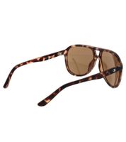 Champion Sunglasses for Men, Casual Glasses, Mirrored Lenses, Vacation Glasses, Filter Category 3, CU513403 Brown