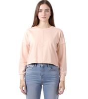 Pull court à manches longues ZEGY pour femme, en coton simple, modèle 1067, rose ou marron