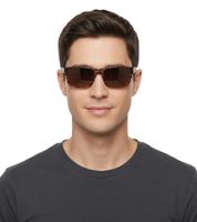 Champion Sonnenbrille Herren Freizeit-Brille polarisiert Urlaubs-Brille mit leicht Transparentem Rahmen CU514603 Braun