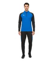 PUMA Teamliga 1/4 Zip Top Men's Sweatshirt Sustainable Training Shirt with dryCELL Sport Shirt 657236 Red, Blue, Black, or Gray