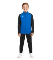 PUMA Teamliga 1/4 Zip Top Kids' Sweatshirt Sustainable Training Shirt with dryCELL Sport Shirt 657237 Red, Blue, Gray, Yellow, or Green