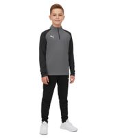 PUMA Teamliga 1/4 Zip Top Kids' Sweatshirt Sustainable Training Shirt with dryCELL Sport Shirt 657237 Red, Blue, Gray, Yellow, or Green