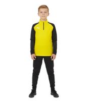 PUMA Teamliga 1/4 Zip Top Kids' Sweatshirt Sustainable Training Shirt with dryCELL Sport Shirt 657237 Red, Blue, Gray, Yellow, or Green