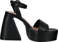 Comfortable Steve Madden sandals, women's sandals Paysin SM11002379 001, black