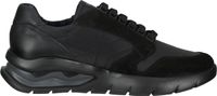 Baskets confortables CallagHan pour homme, modèle à lacets 45405 NEGRO/GRIS Noir