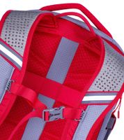 Rivacase Mercantour Rucksack mit 15,6" Laptopfach Alltags-Rucksack 20L 5225 GR Grau/Rot