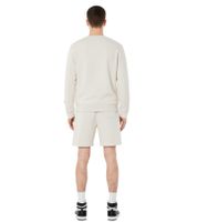 Pantaloncini da tuta Hollister X NBA con stampa del logo della squadra, pantaloni della tuta in cotone 328-278-0257-401, Brooklyn Nets in beige o Milwaukee Bucks in tortora