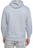 Sudadera con capucha cómoda para hombre de corte regular, sudadera con capucha gris 19161