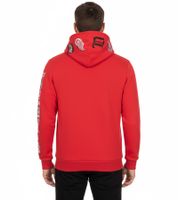 Felpa con cappuccio da uomo Hollister X NHL con stampa del logo della squadra, pullover in cotone 322-221-1606 Pittsburgh Penguins (Nero), Montreal Canadiens (Bianco), Toronto Maple Leafs (Blu) o Detroit Red Wings (Rosso)