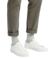 1 Paar Happy Socks Solid Herren Crew-Socken Bio-Baumwoll-Socken mit Schriftzug- und Logo-Print Alltags-Strümpfe P001007 Grau/Rot