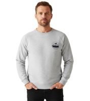 Sustainable REGATTA Nithsdale Sweater Men's Cotton Pullover Sweatshirt RMA565-906 Grey