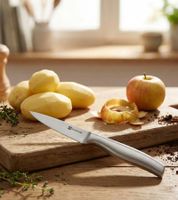 SCHULTE-UFER 9cm Stainless Steel Paring Knife, Precision Knife for Fruits and Vegetables, Kitchen Knife 1101201 Silver