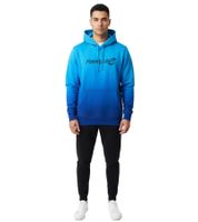 Formula E Men's Hooded Sweatshirt, Long-Sleeve Shirt, Motorsport Cotton Fan Item, Blue or Multicolor