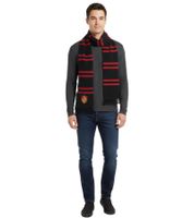 Hogwarts Scarf for Men and Women with Hogwarts Logo, Autumn Scarf SF178215HPT Black