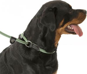 Comfortable Company of Animals 3-in-1 Dog Leash for Dogs That Pull Strongly - Short Dog Leash, Retriever Leash, 170cm, Green