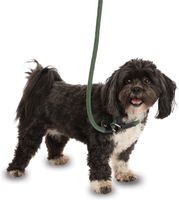 Comfortable Company of Animals 3-in-1 Dog Leash for Dogs That Pull Strongly - Short Dog Leash, Retriever Leash, 170cm, Green