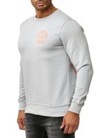 Pull homme décontracté à col rond, imprimé logo et grand imprimé au dos, référence 19103, gris