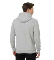 Sudadera con capucha Helly Hansen para hombre, de algodón, 300 g/m², 79264_930 Gris claro
