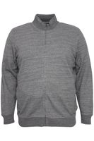 classique BLEND BHLenner BT homme veste sweat avec col montant veste 20714929ME-200277 Gris