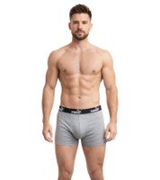 Pack de 3 bóxers básicos PUMA para hombre, ropa interior de algodón 701218254 004 Gris/Verde/Negro