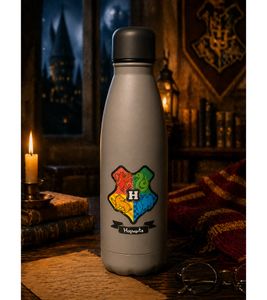 Harry Potter Isolierflasche „Back to Hogwarts“ 500 ml Edelstahl Thermoflasche im magischen Design Beige/Grau