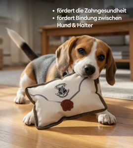Harry Potter Hundekauspielzeug Kauspielzeug Hundespielzeug im Notizbuch Brief-Motiv Beißspielzeug 15x5x20cm Weiß