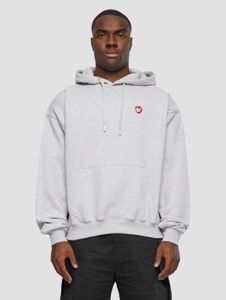 Sudadera con capucha cómoda para hombre de Zoo York, color gris.