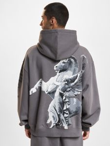 Sweat à capuche Modern DEF pour homme, en coton gris