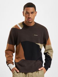 Sudadera moderna para hombre de Dickies, color marrón.