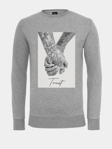 Comoda felpa da uomo Mister Tee in cotone, grigia