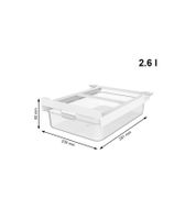 Rotho CAUMA Kühlschrankorganizer Schublade 2,6L Kühlschrankbox Frischebox 9556204 Transparent/Weiß