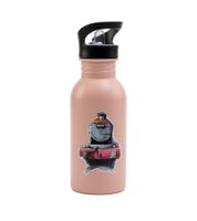 Botella de agua de Harry Potter – "Hogwarts Express" o "Back to Hogwarts" – Botella de acero inoxidable de 500 ml con diseño mágico (Rosa o Gris)
