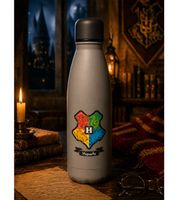 Harry Potter Isolierflasche Back to Hogwarts oder Hogwarts Express 500 ml Edelstahl Trinkflasche Thermoflasche im magischen Design Rosa oder Grau