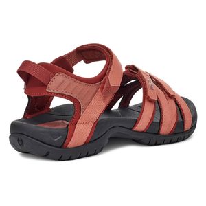 4266-ARGN-4.jpg 4266-ARGN-4.jpg